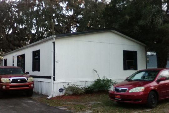 1990 Mayfield Skyline Mobile Home